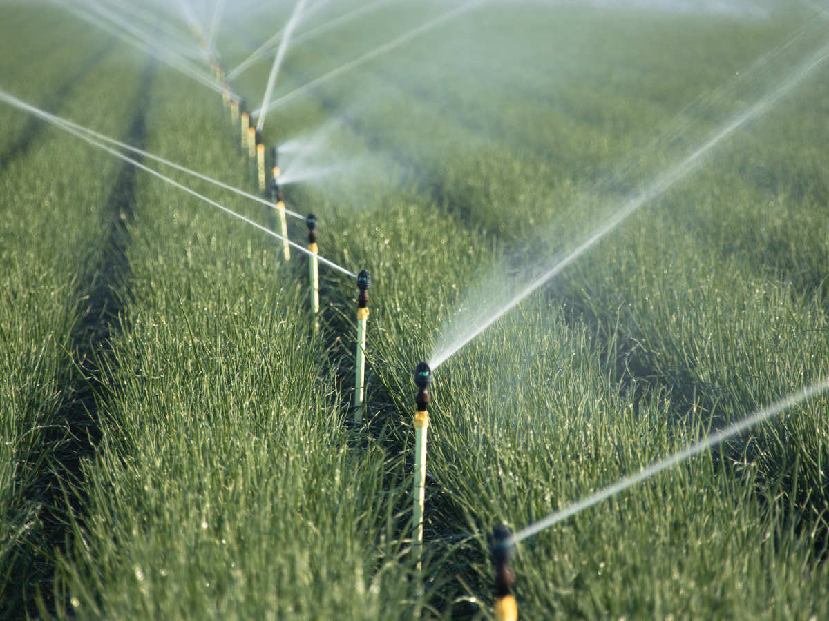 Certa-Set Sprinkler