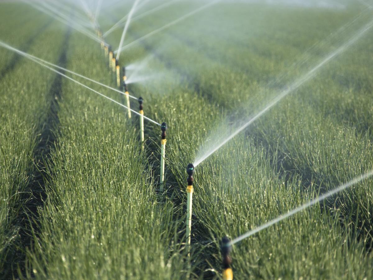Certa-Set Sprinkler