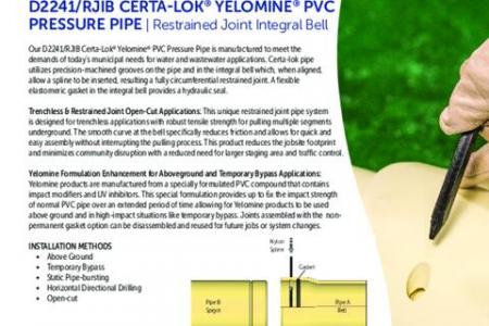D2241/RJIB Certa-Lok® Yelomine® Product Specification